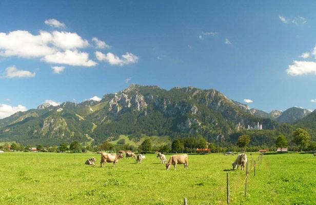 Jaegerhof Und Jaegerstadel Schwangau Exterior foto