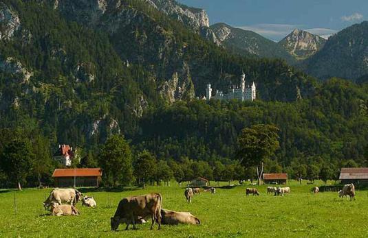 Jaegerhof Und Jaegerstadel Schwangau Exterior foto